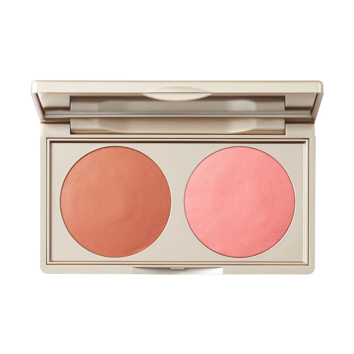 COLLECTION PUTTY BB DUO GERBERA (BRONCEADOR Y RUBOR)